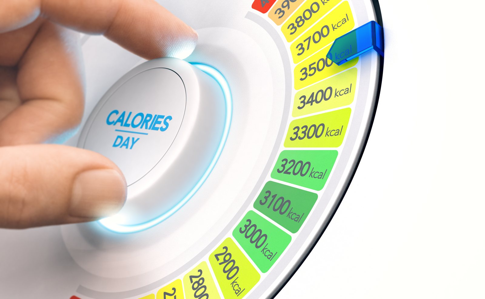 Definizione del fabbisogno calorico giornaliero per un piano alimentare personalizzato a Bari